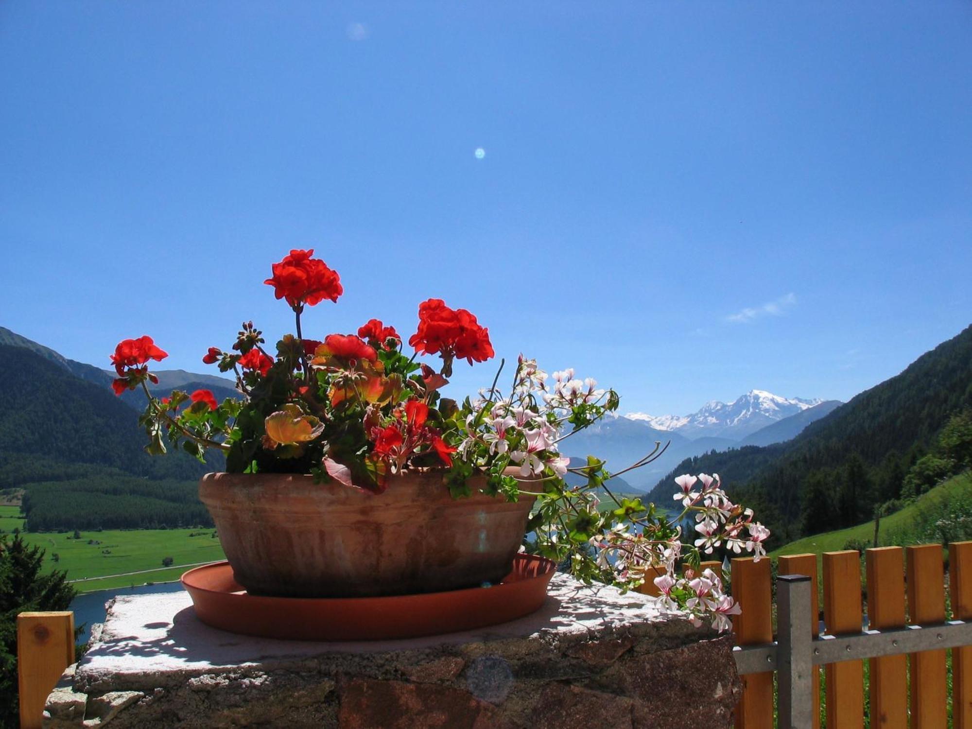 Appartement Sunnleitn Sankt Valentin auf der Haide Buitenkant foto